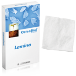 Lamina